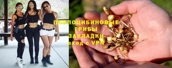 хмурый Кинешма
