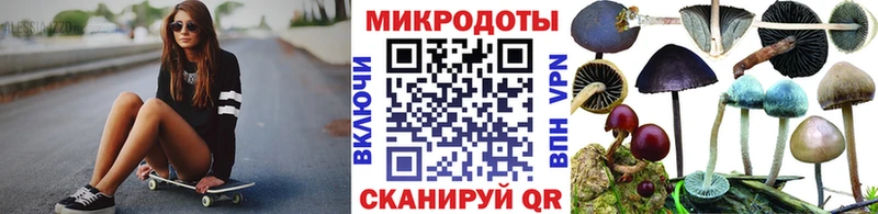 Псилоцибиновые грибы Cubensis  Купить  Гвардейск 